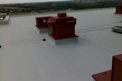 Reailzace-PVC-folie-WassermanovaPH-1