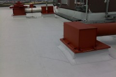 Reailzace-PVC-folie-WassermanovaPH-3