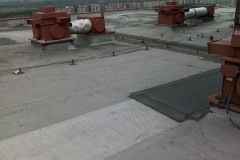 puvodni-stav-WassermanovaPHA